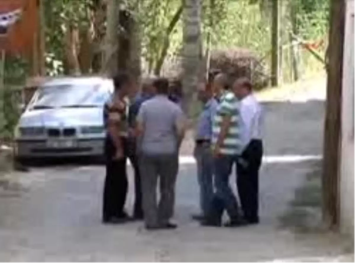 Erzurum\'daki Ayı Saldırısı