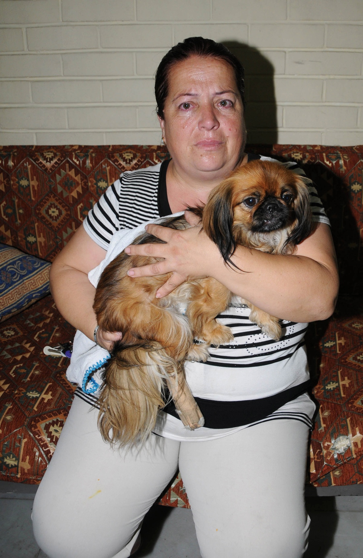 Ötenazi İsteyen Kadın Yaralan Köpeği İçin Gözyaşı Döktü