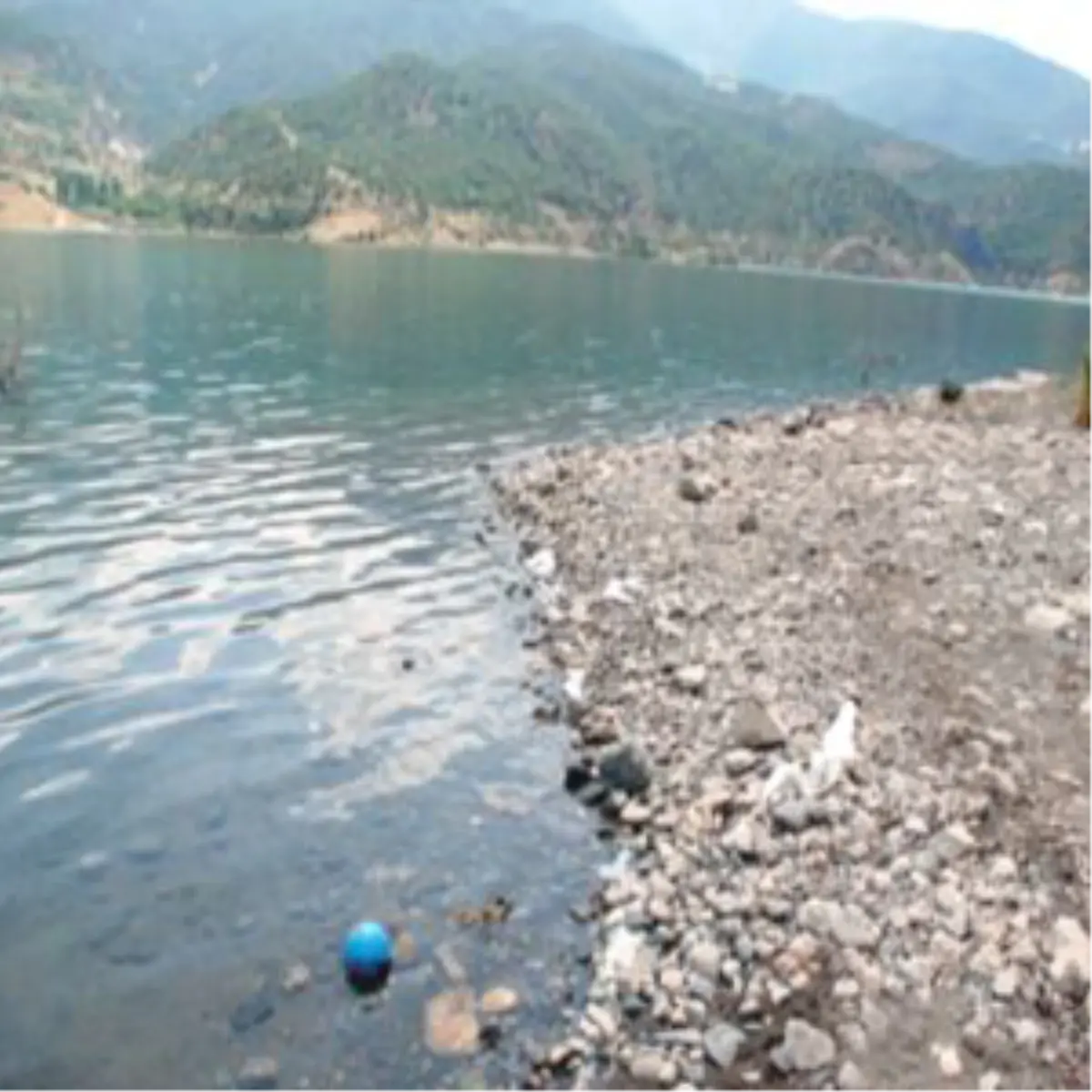 Serinlemek İstedi, Canından Oldu