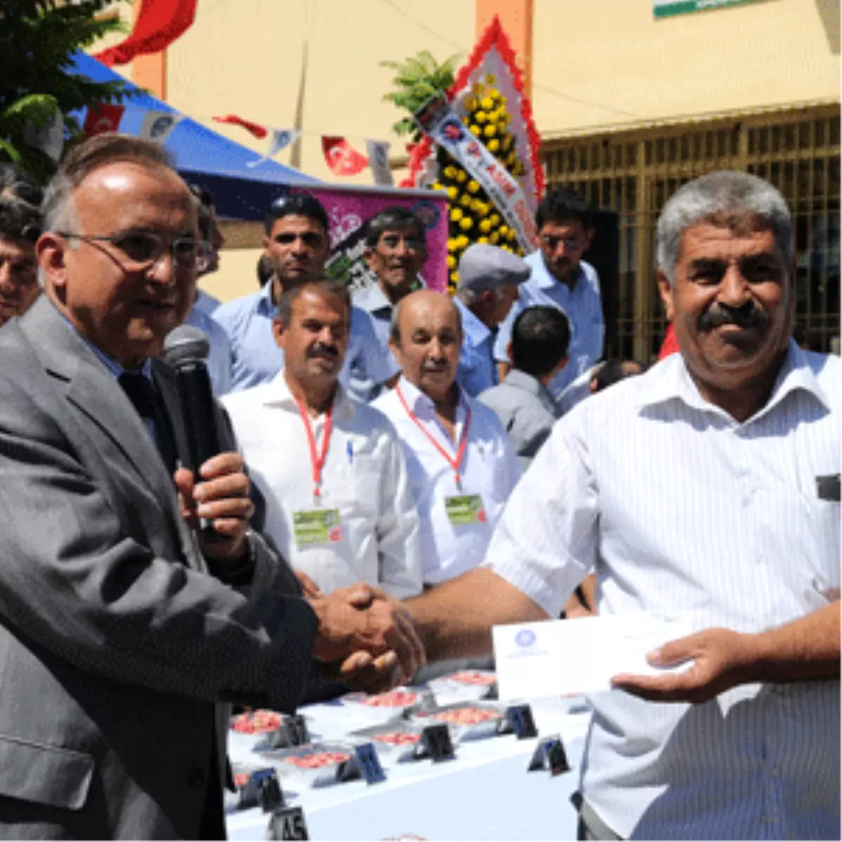 En İyi Antep Fıstığı Seçildi