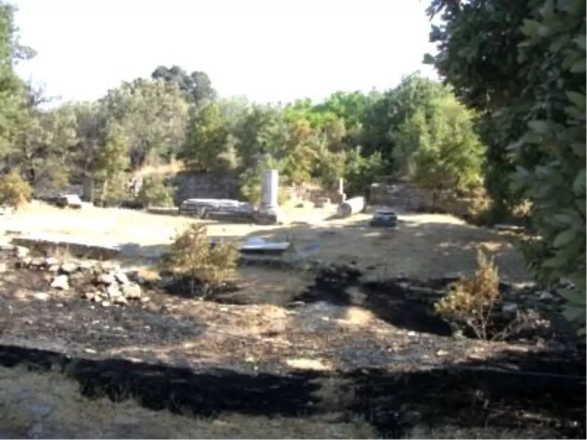 Truva'da Yangın Paniği