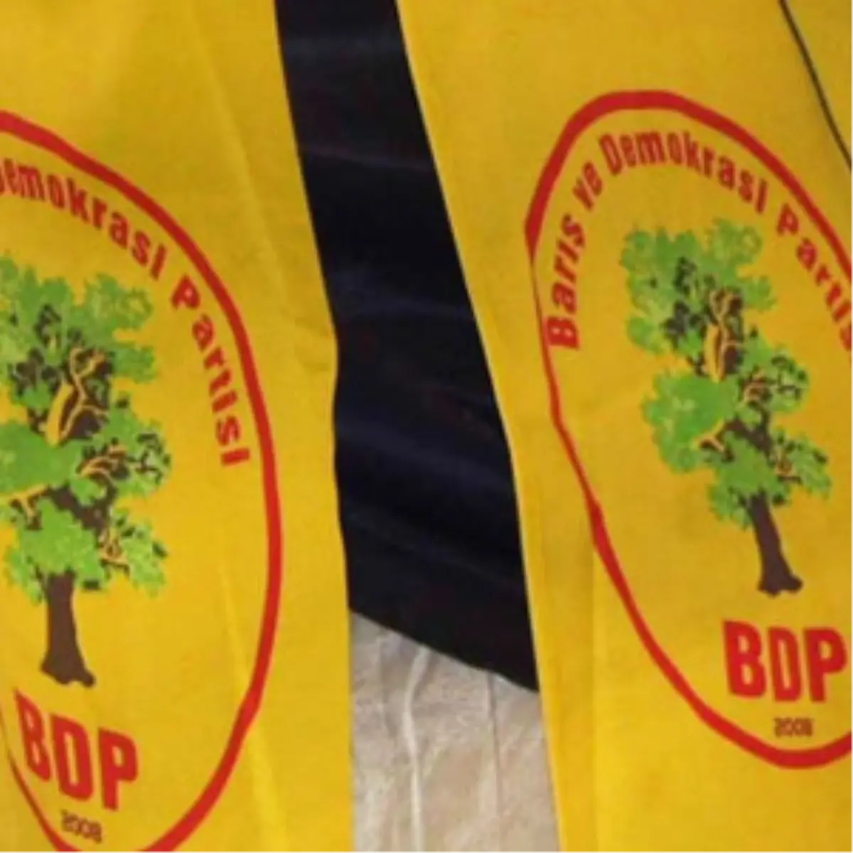 BDP Adana İl Başkanı Gözaltında