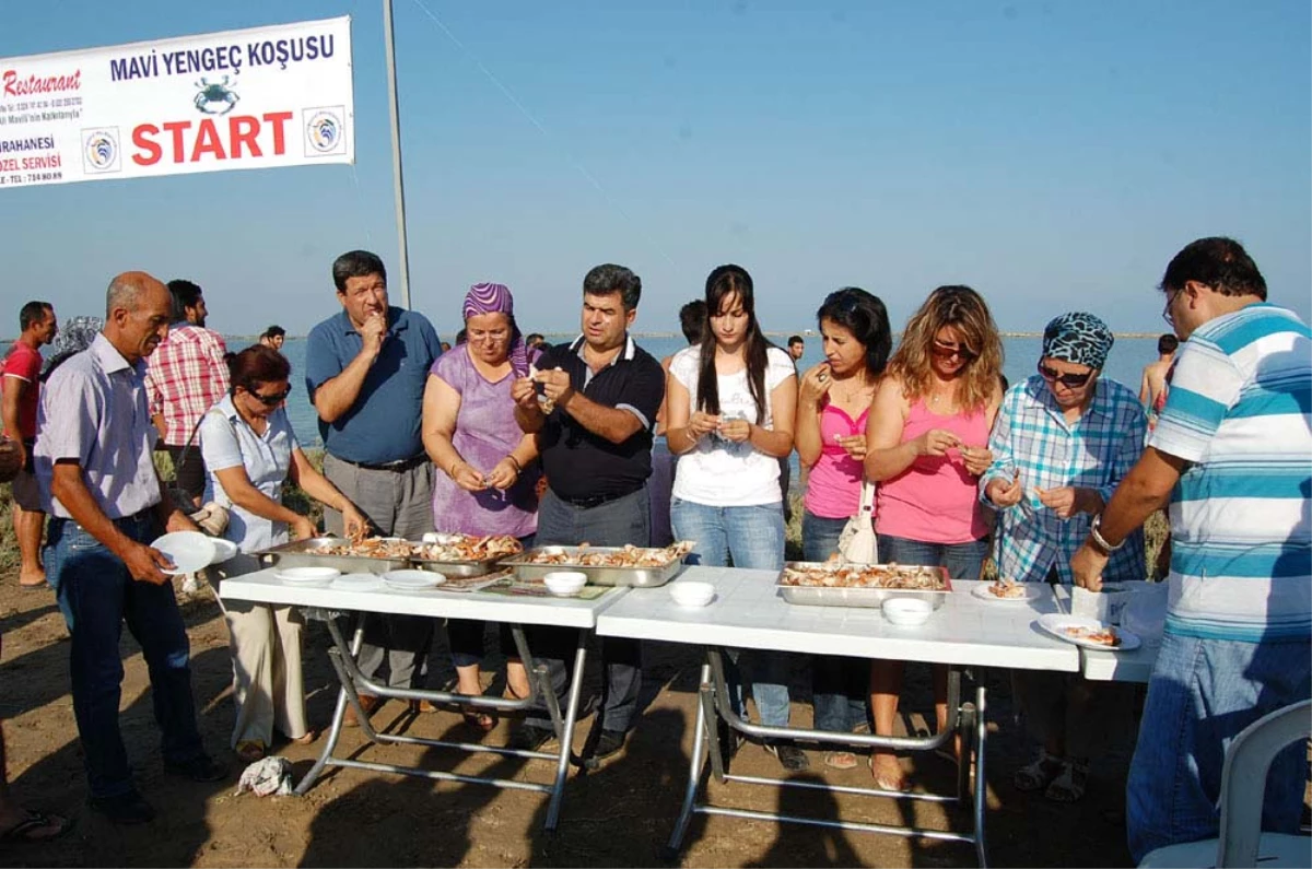 Silifke'de Mavi Yengeç Koşusu