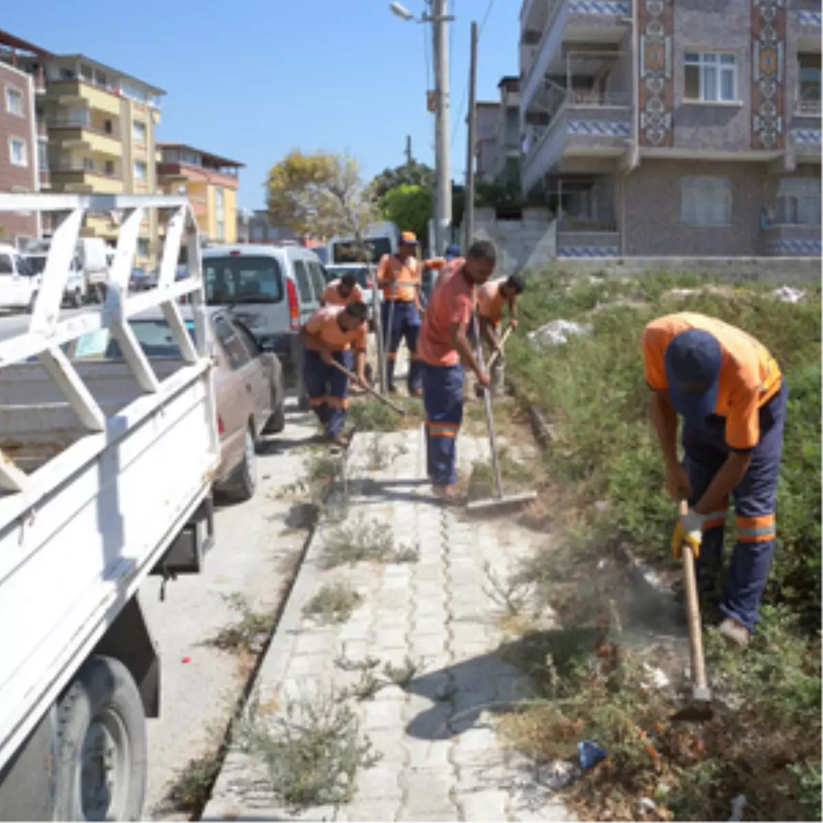 Toplu Temizlik Çalışması