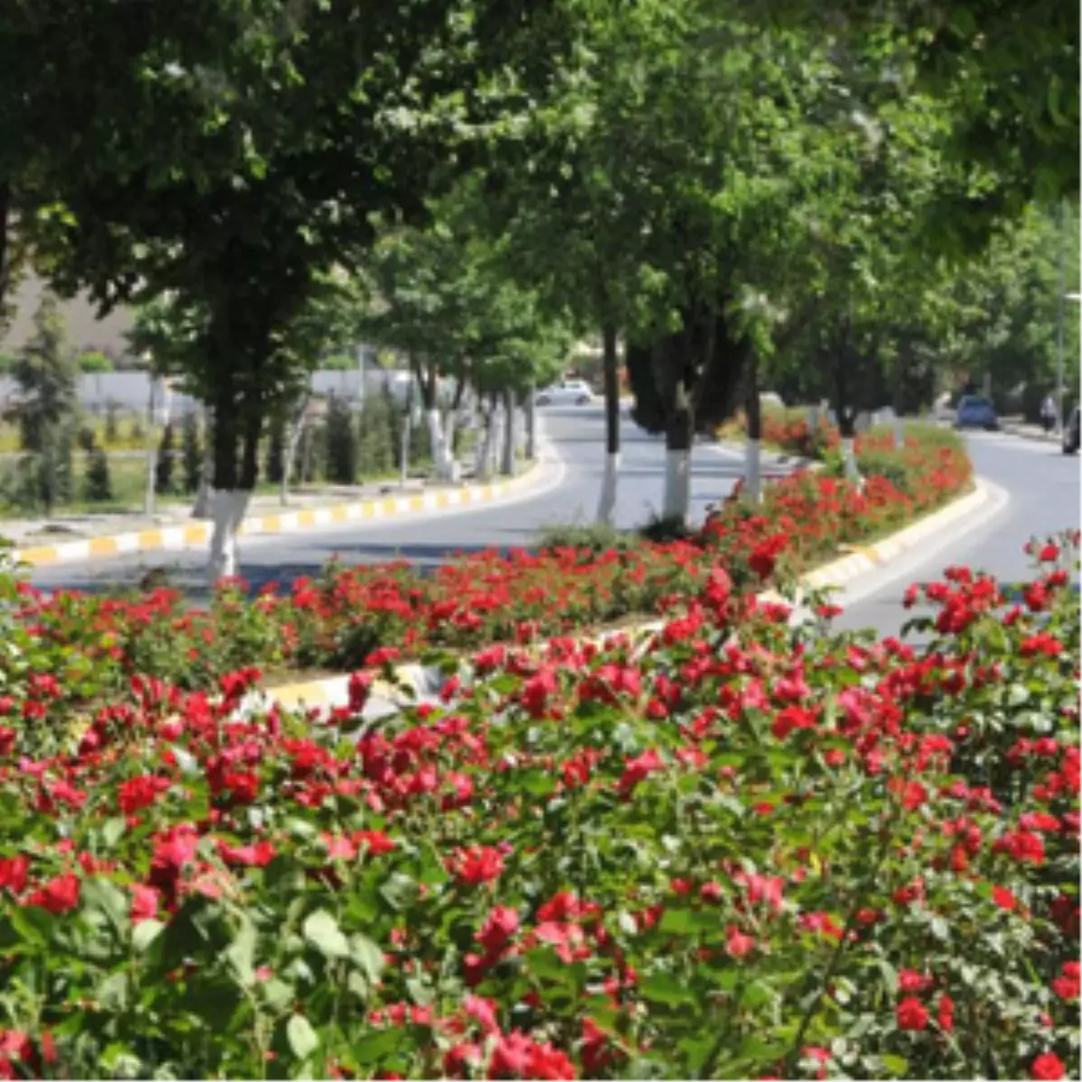 Yılın Temiz Çevre Ödülü Başkan Uzun\'a Verildi