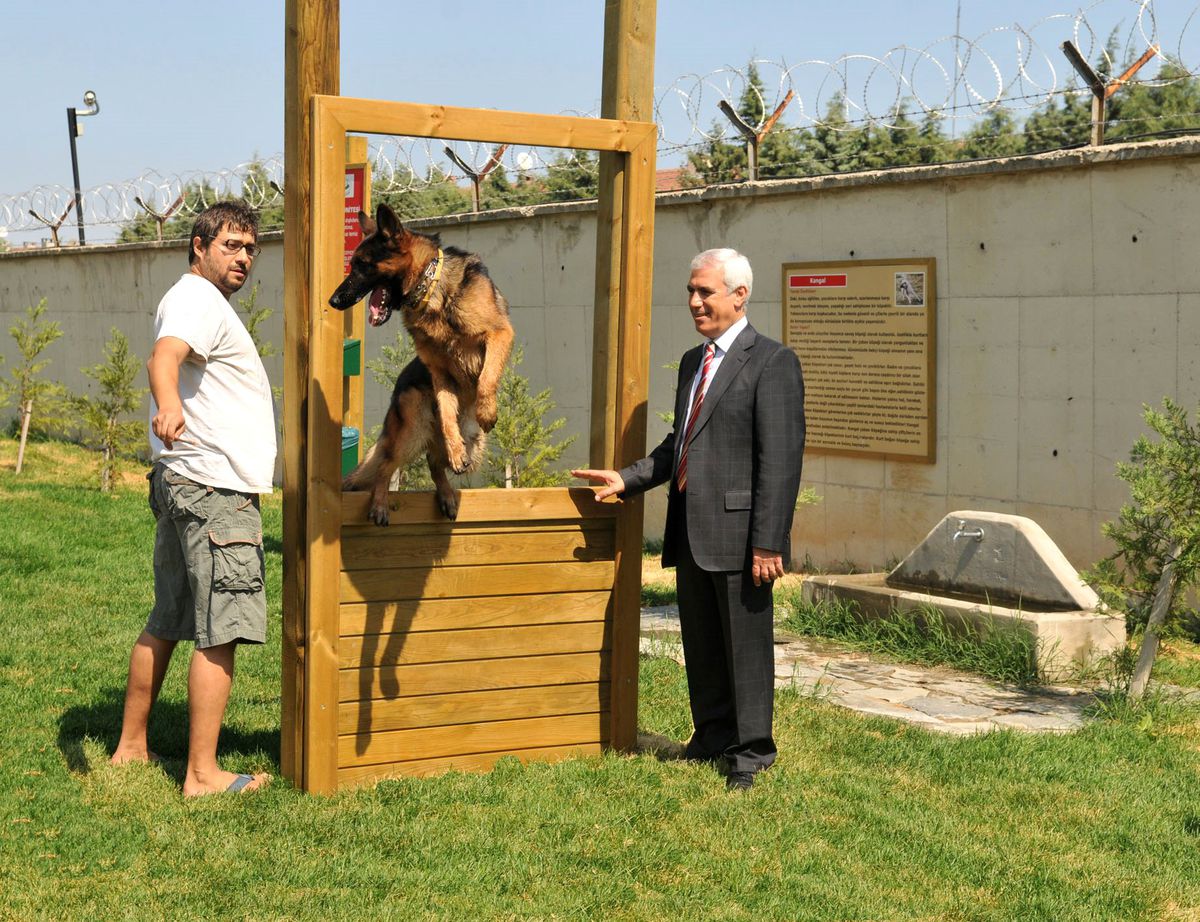 Bursa'nın İlk Köpek Parkı Açılıyor