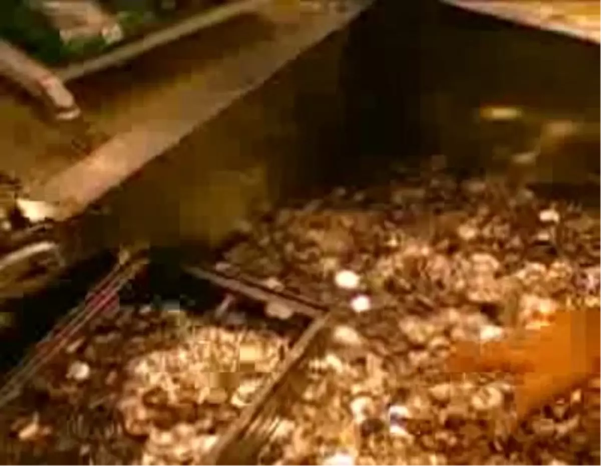 Dünya ve Avrupa Ekonomisi İçin İki Olumsuz Açıklama Avrupa Merkez Bankası Başkanı, Euro Kullanan 17 Avrupa Ülkesinin Karşı Karşıya Olduğu Ekonomik Tehditlerin Ciddi Ölçüde Arttığını, Büyüme Beklentilerinin Azaldığını Söyledi. Ekonomik İşbirliği ve Kalkınma Örgütü Küresel Ekonomik Toparlanmanın Durma