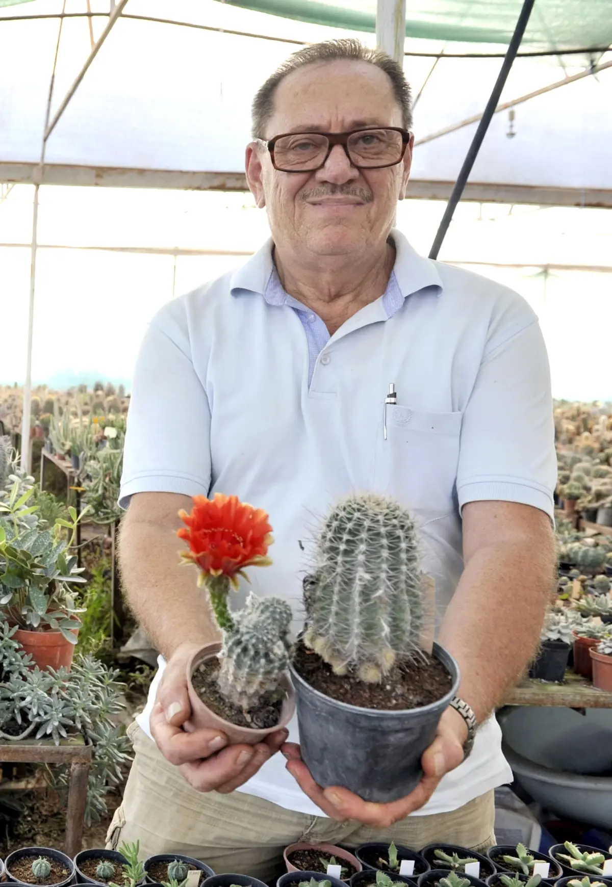 4 Bin Çeşit Kaktüs Yetiştiriyor