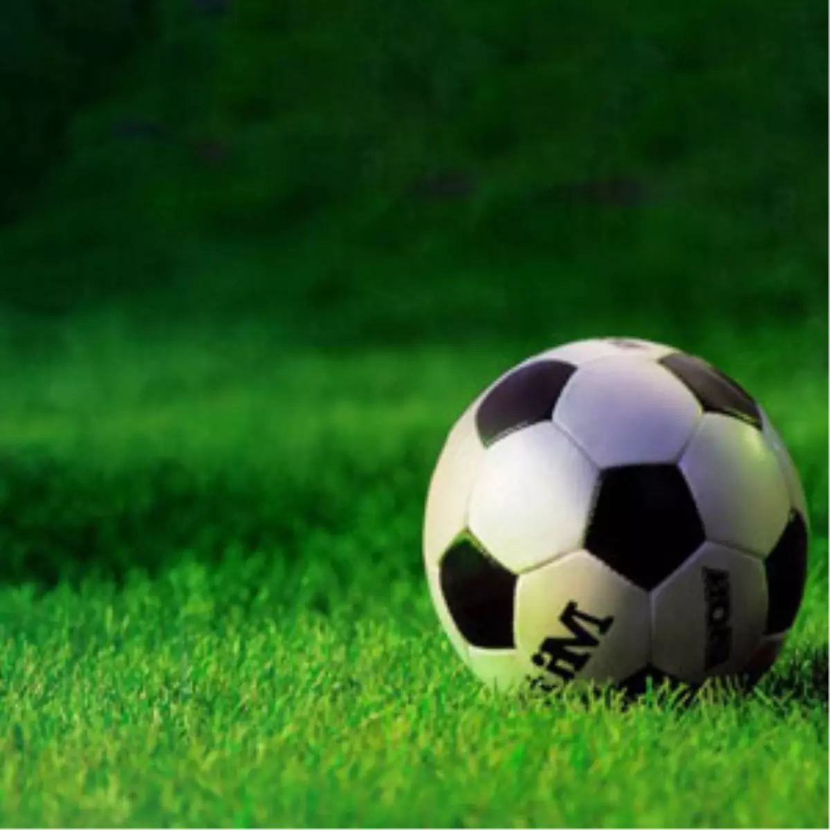 Karşıyaka-Adanaspor: 0-2