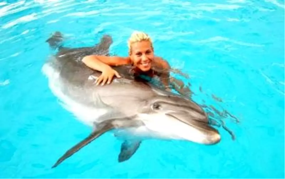 Yunuslarla Hatıra Kuyruğu