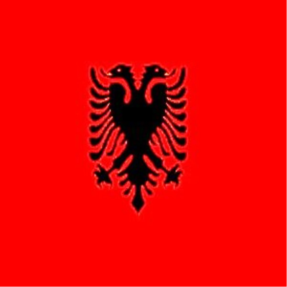 "Arnavutluk, Avrupa Birliği İçin Daha Çok Çalışmalı"