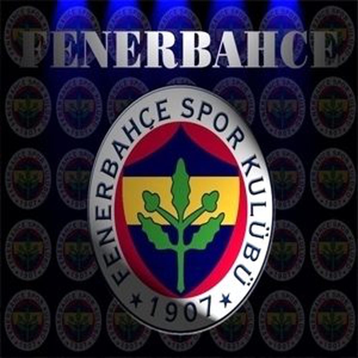 Fenerbahçe-Orduspor Maçından Notlar