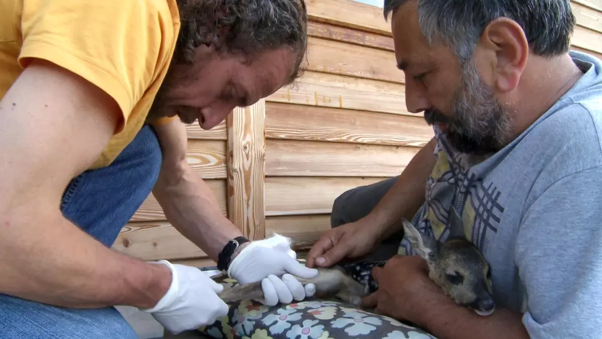 Karacayı Tedavi Etti, Hakkında Dava Açıldı