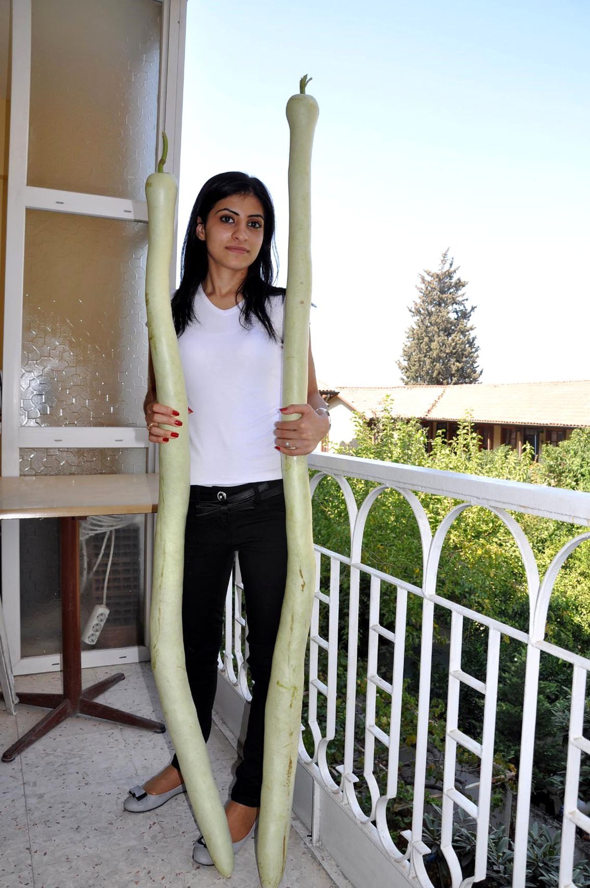 Boyundan Uzun Kabak Yetiştirdi