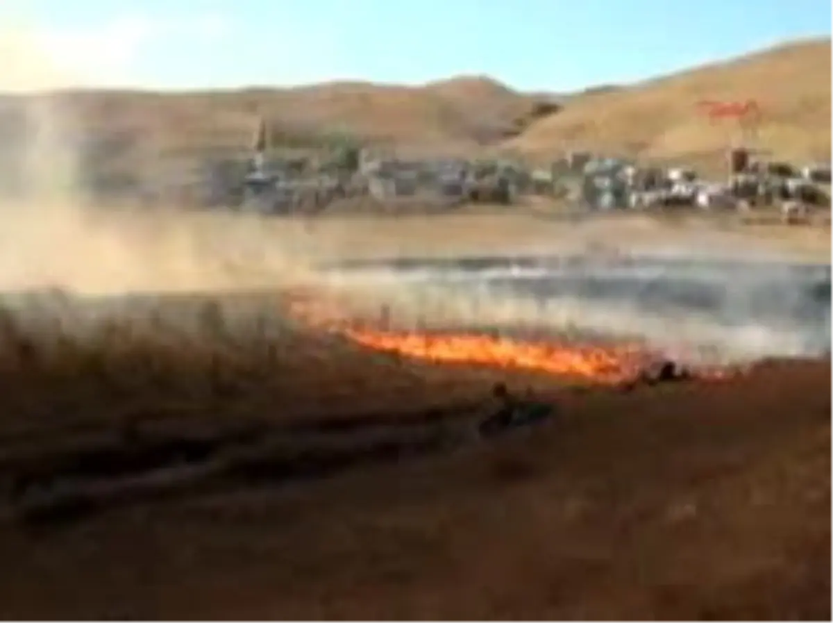 Kafkas Üniversitesi Kampüsü\'nde 2 Bin Ağaç Yandı