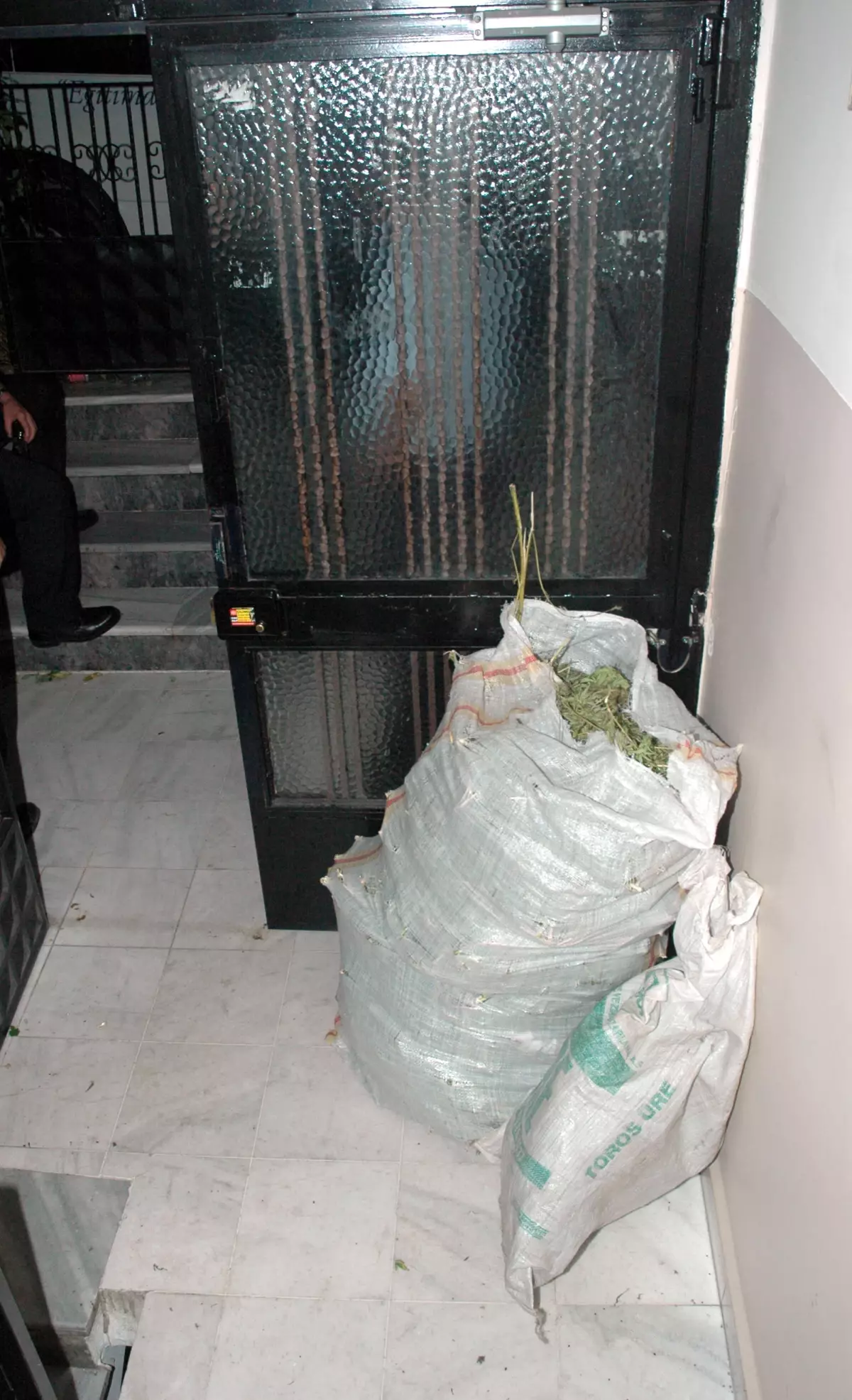 Çiçek İhbarı Hint Keneviri Çıktı