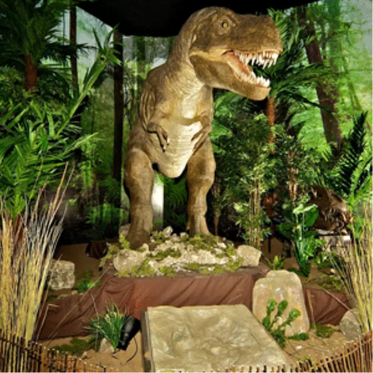 "Dinozorlara Yolculuk Sergisi"