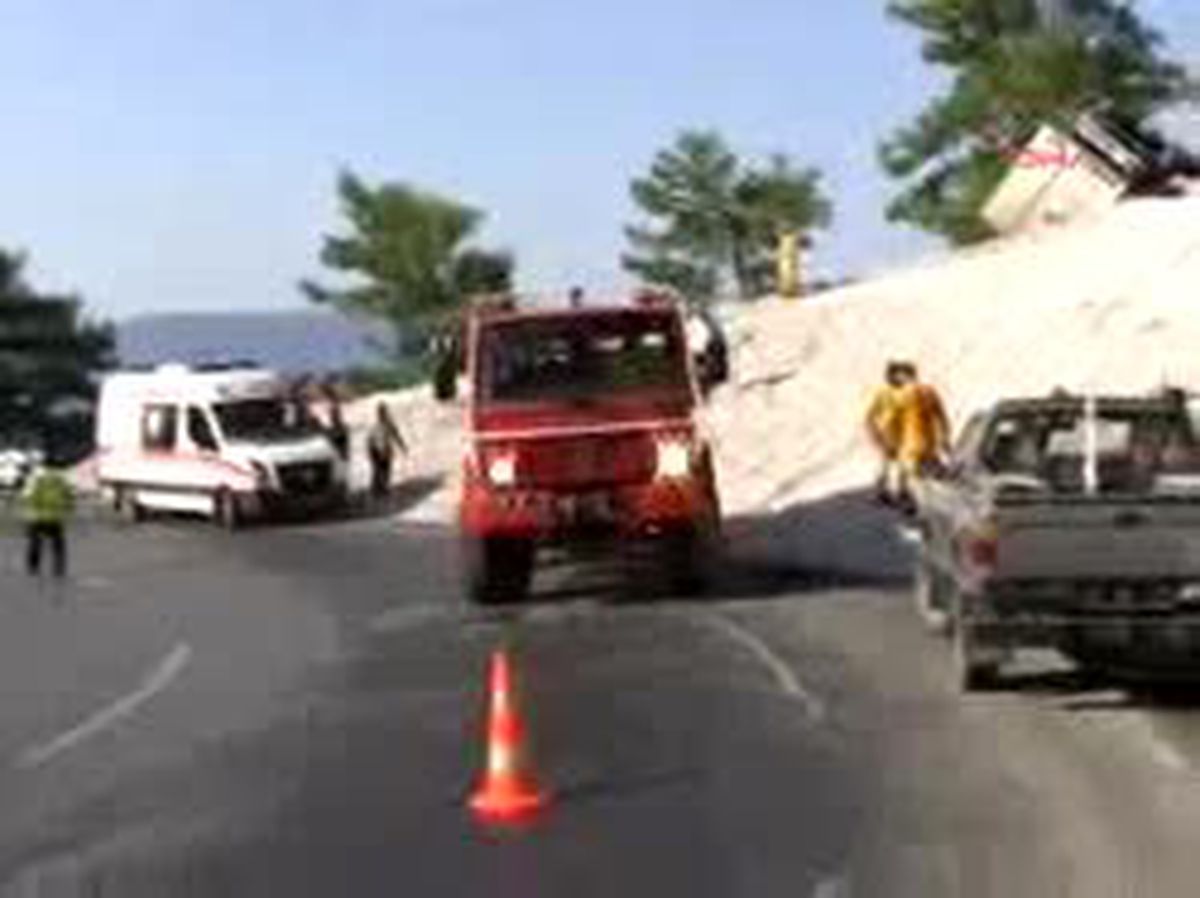 İki Ağaç Bir Can Kurtardı