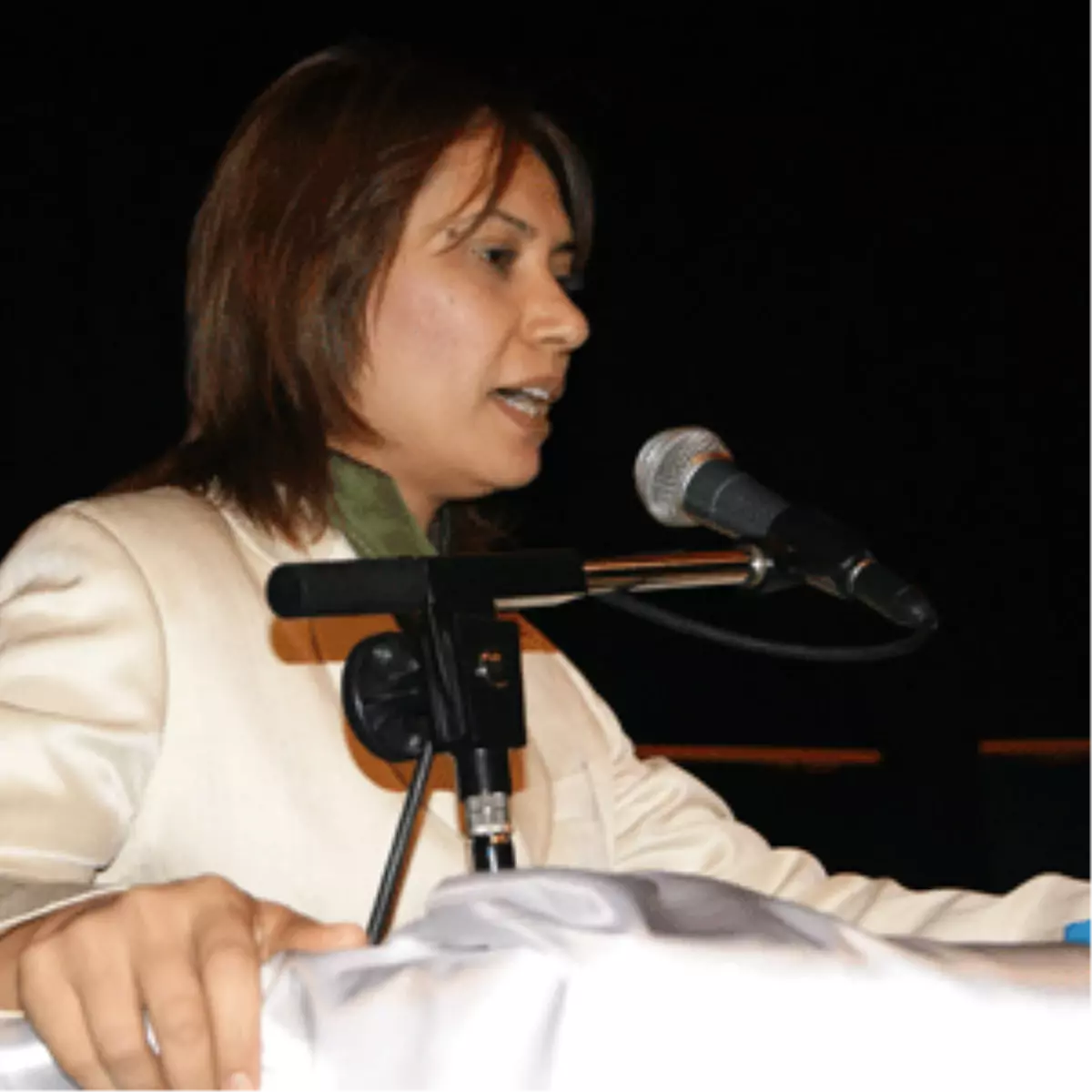 Ak Parti\'de Kadın Kolları Kongreleri Nilüfer veYıldırım\'da Sürdü