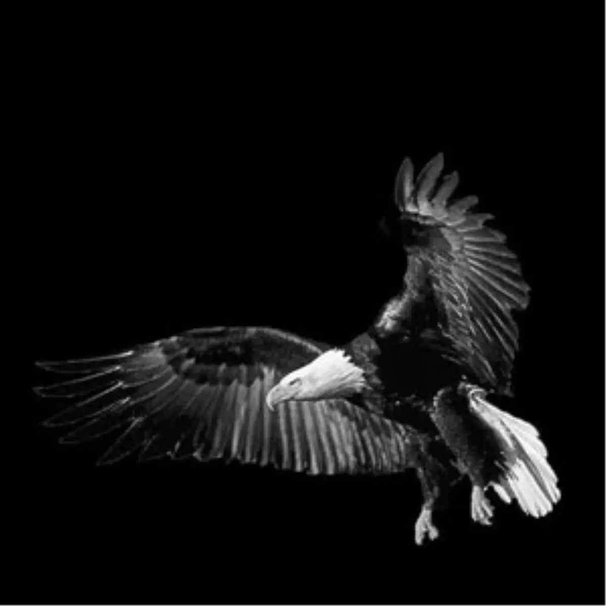 Beşiktaş İlk Puanlarını Aldı