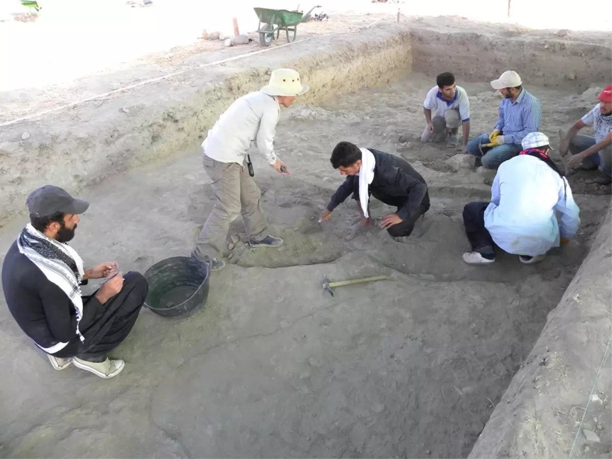 Batman\'da 5 Bin Yılık Mercimek