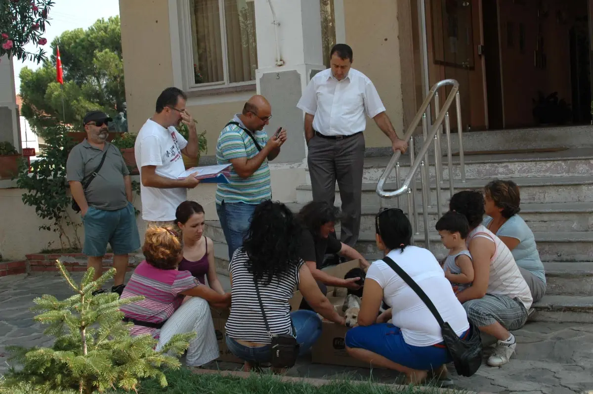 Hayvanseverlerden Oturma Eylemi