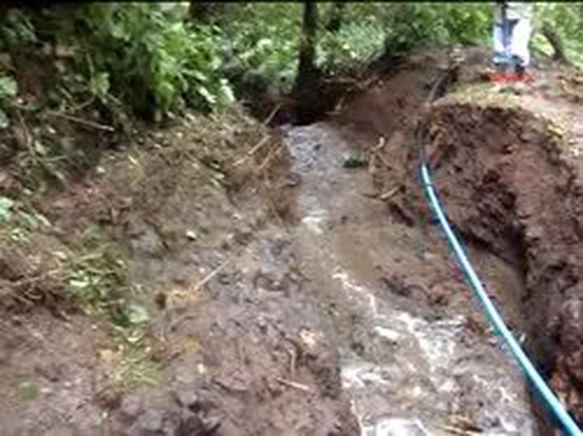 Çay Tarlasına Kanal Açmaya Çalışmış