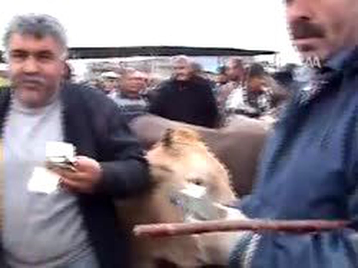 Kurban Bayramı Yaklaşıyor