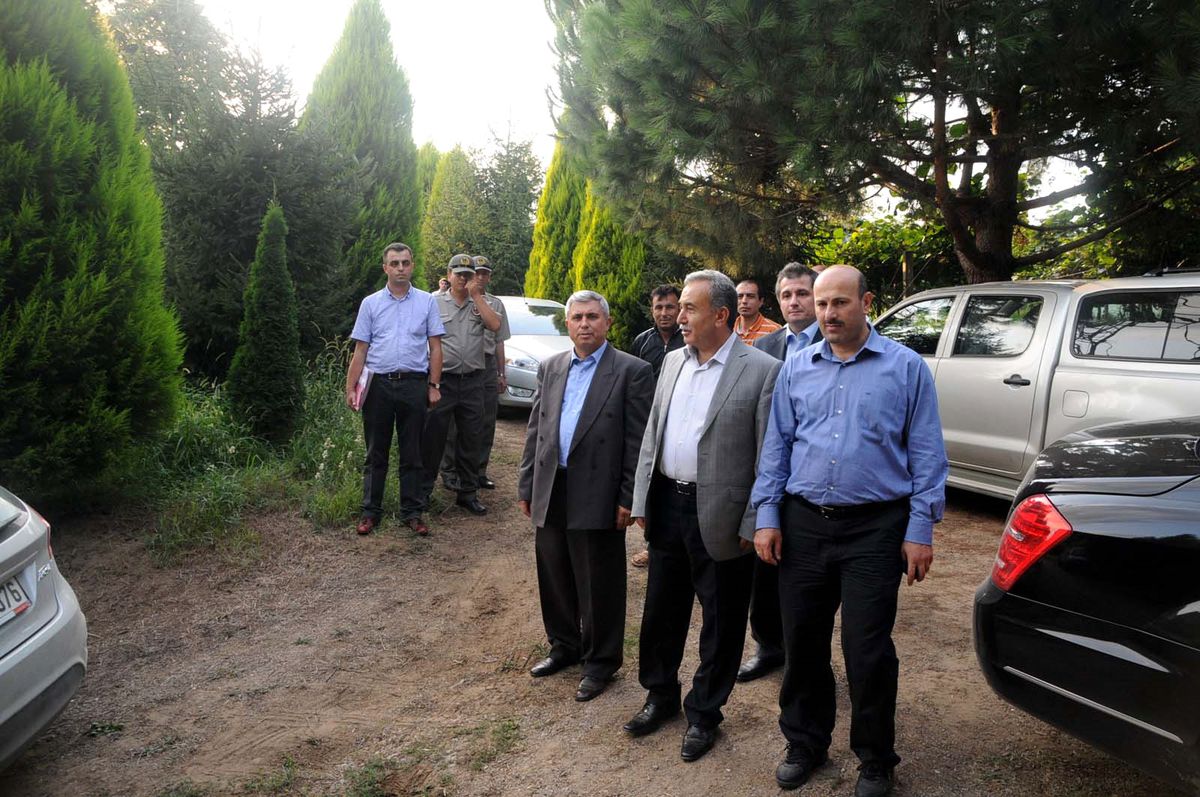 Acarlar Longozu'nda Tahribatı Vali de Kabul Etti