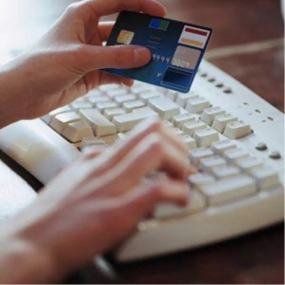 Her Şeyi İnternetten Almaya Başladık