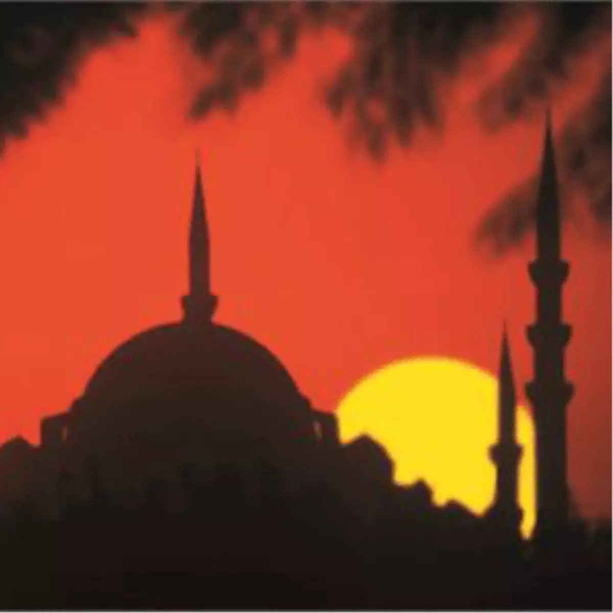 İstanbul Nasıl Gezilir?