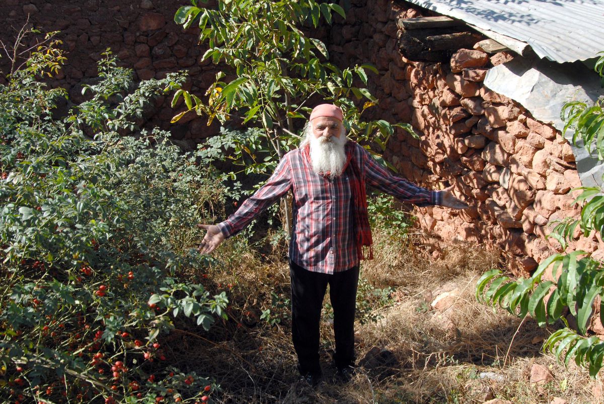 73 Yıl Sonra Soruşturma Açıldı (2)