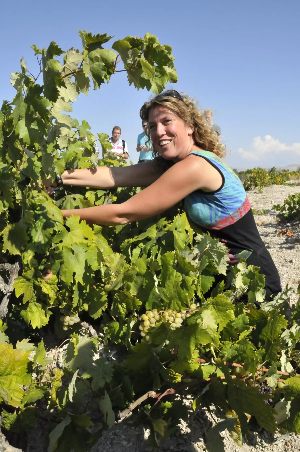 Hollanda\'lı Üst Düzey Polis Yöneticileri Bağ Bozumunda