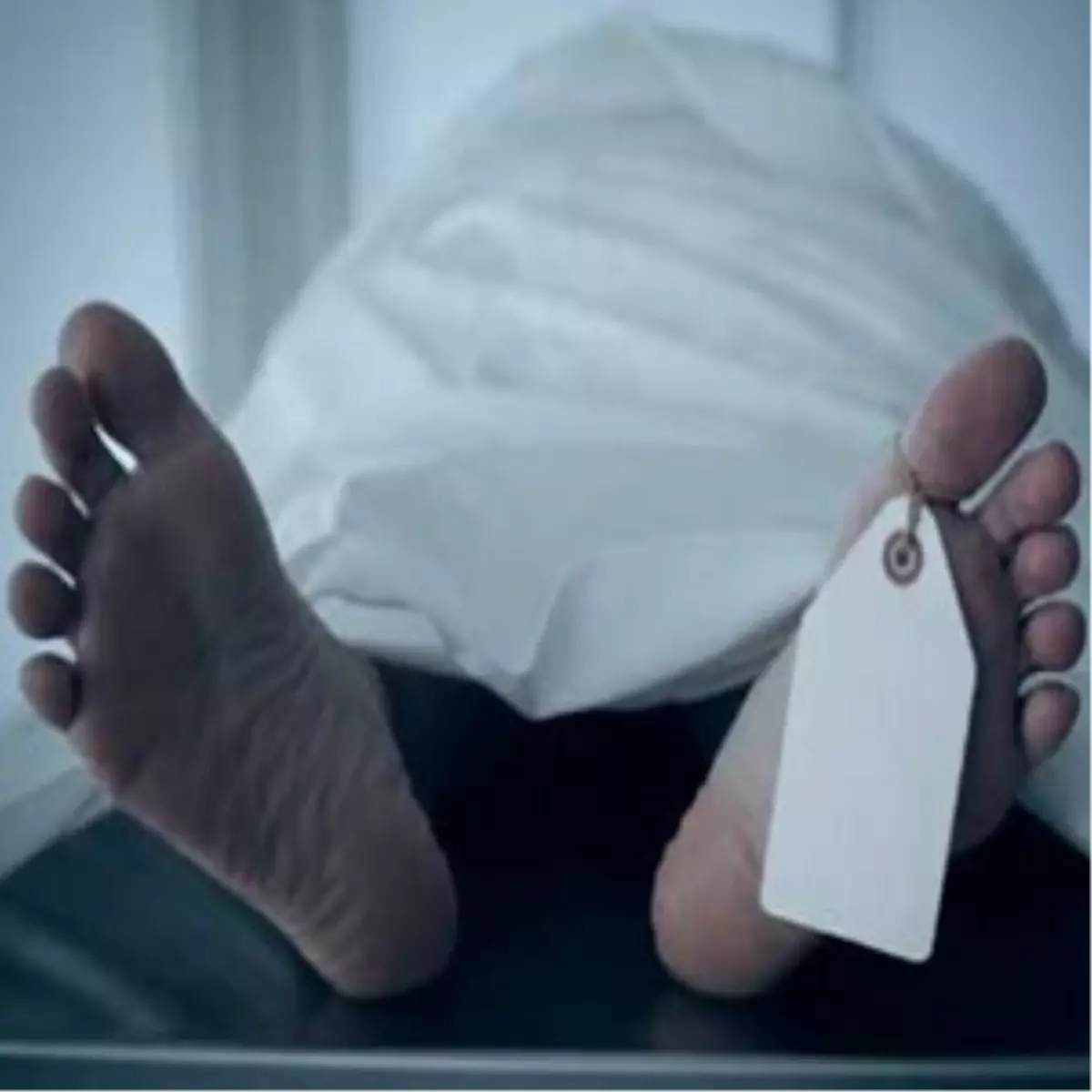 İntihar Ettiği İleri Sürülen Kadının Öldürüldüğü Ortaya Çıktı