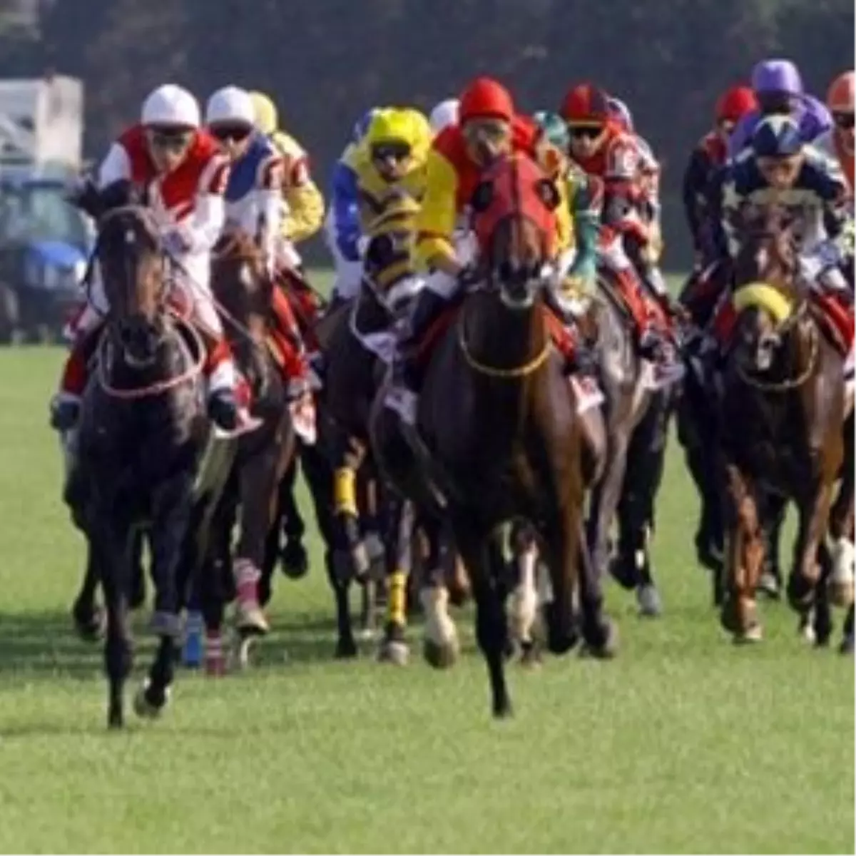 Ojeli Tırnaklarla Dörtnala