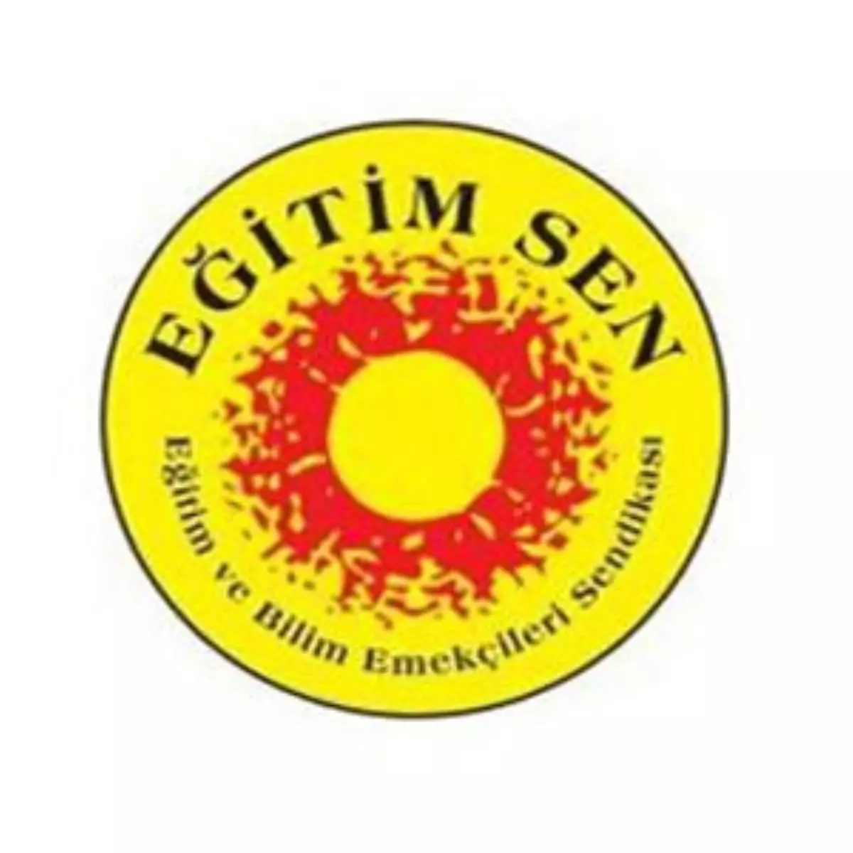 Terör Örgütünce Kaçırılan Öğretmenler