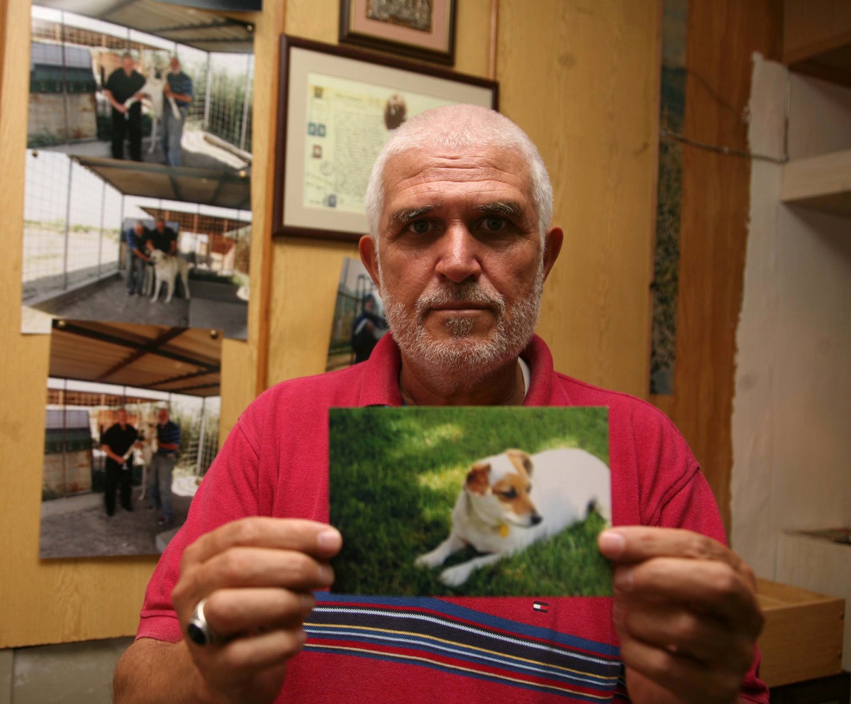 Köpeğini Bulana 3 Bin Lira Ödül