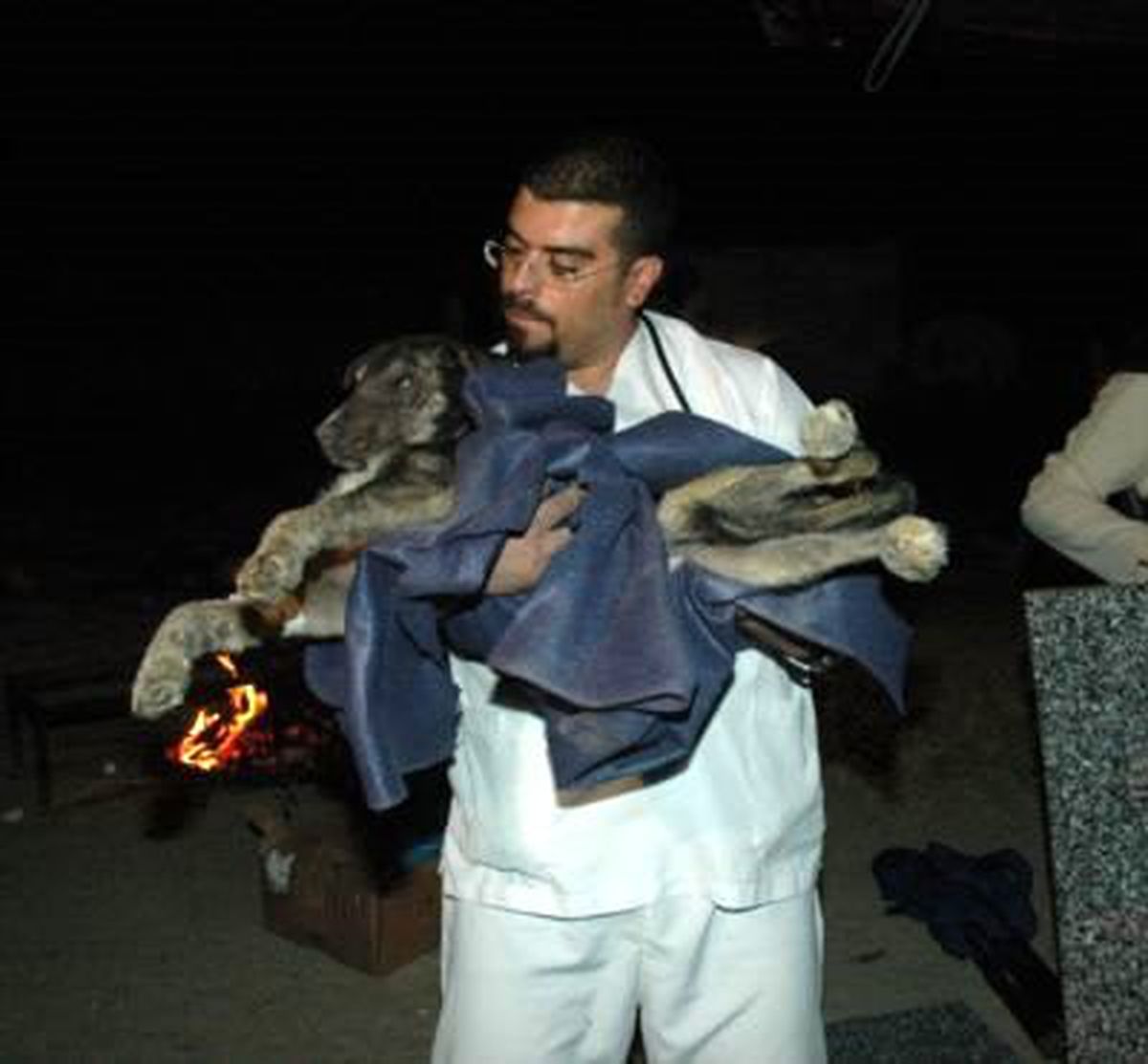 Köpekleri Zehirlediler, Veteriner ve Hayvanseverler Ormana Seyyar Hastane Kurdu