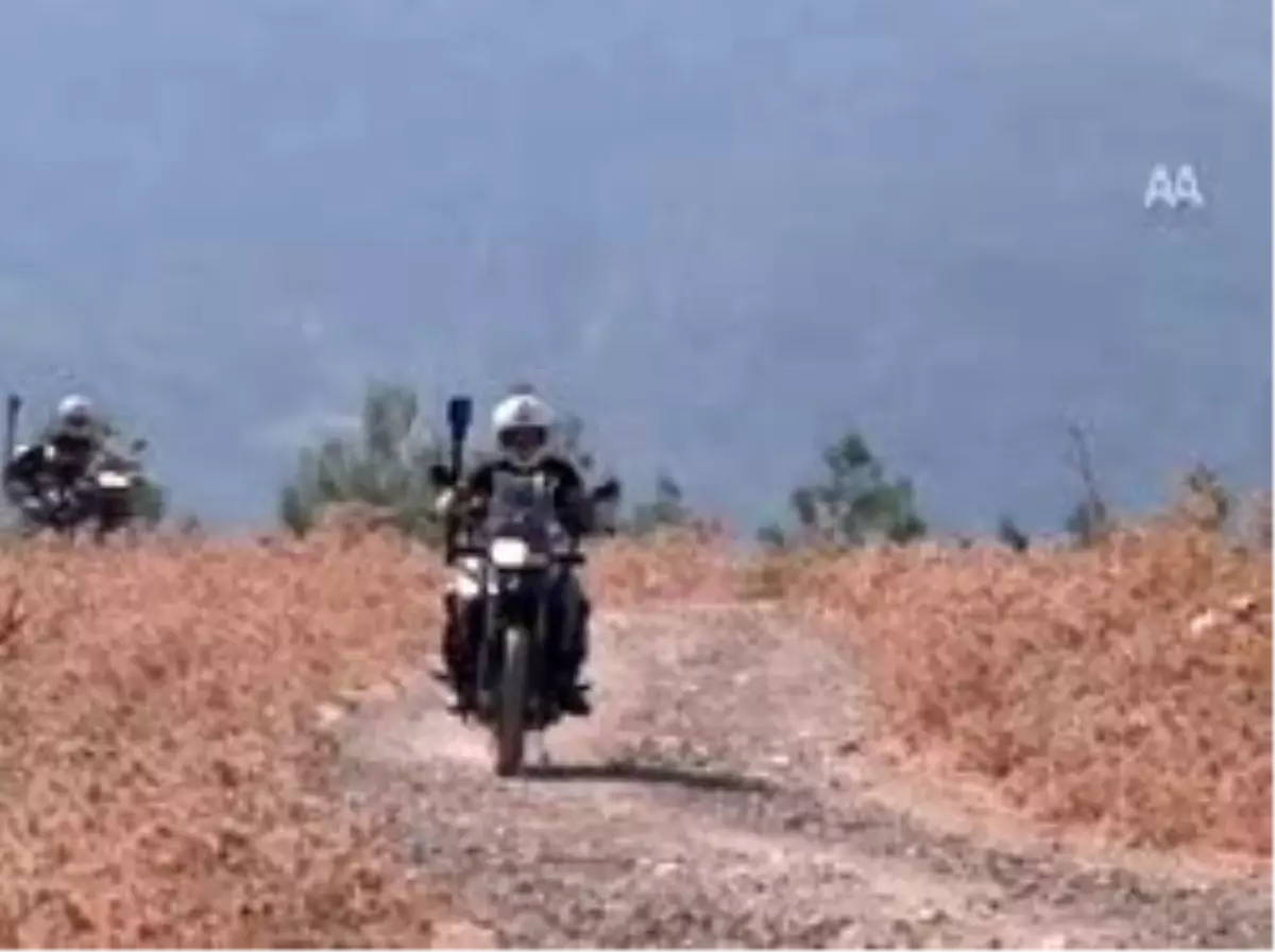 Diyanet\'ten Yabani İnek Fetvası