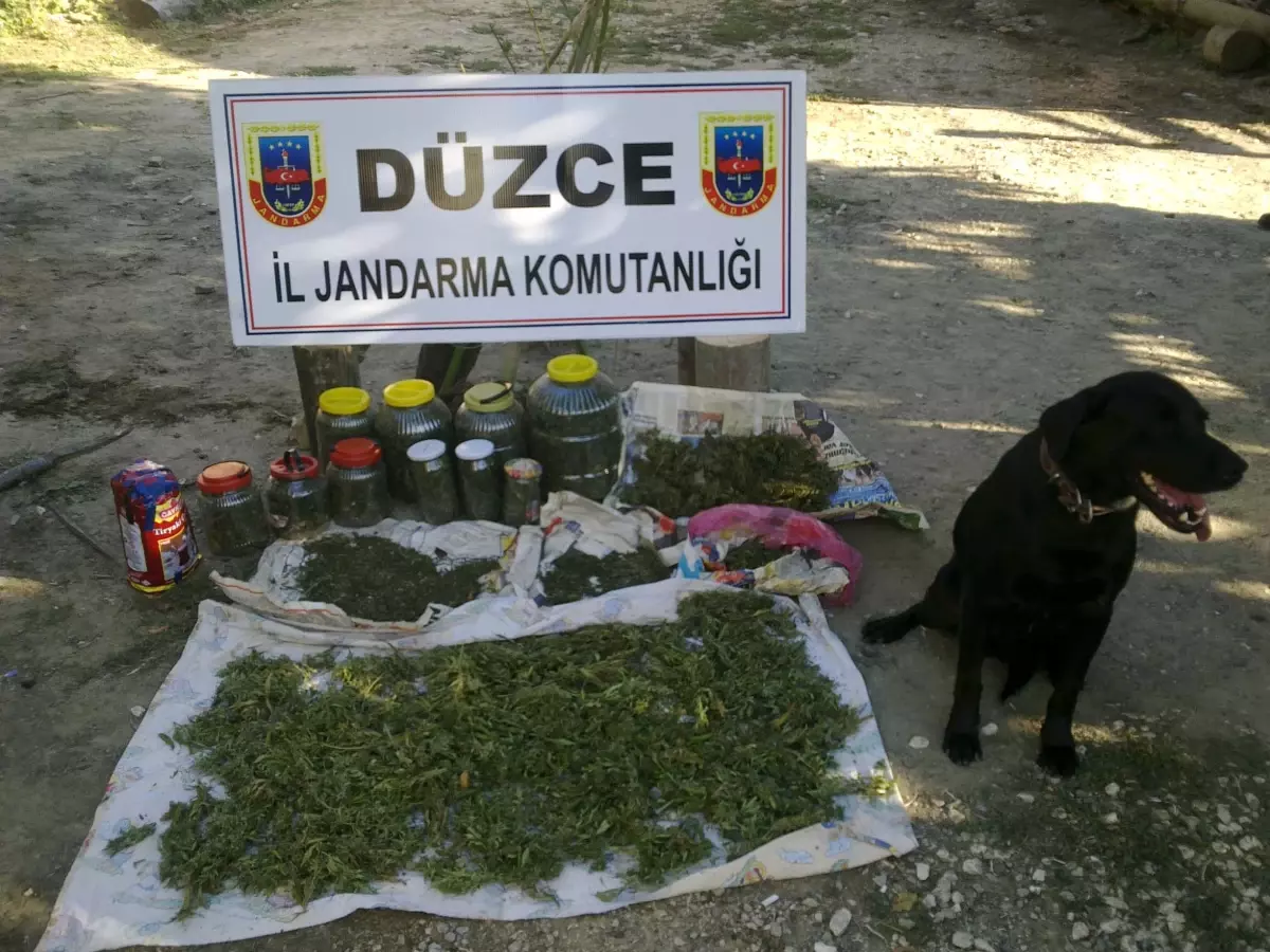 Evin Çatısında 10 Kilo Esrar