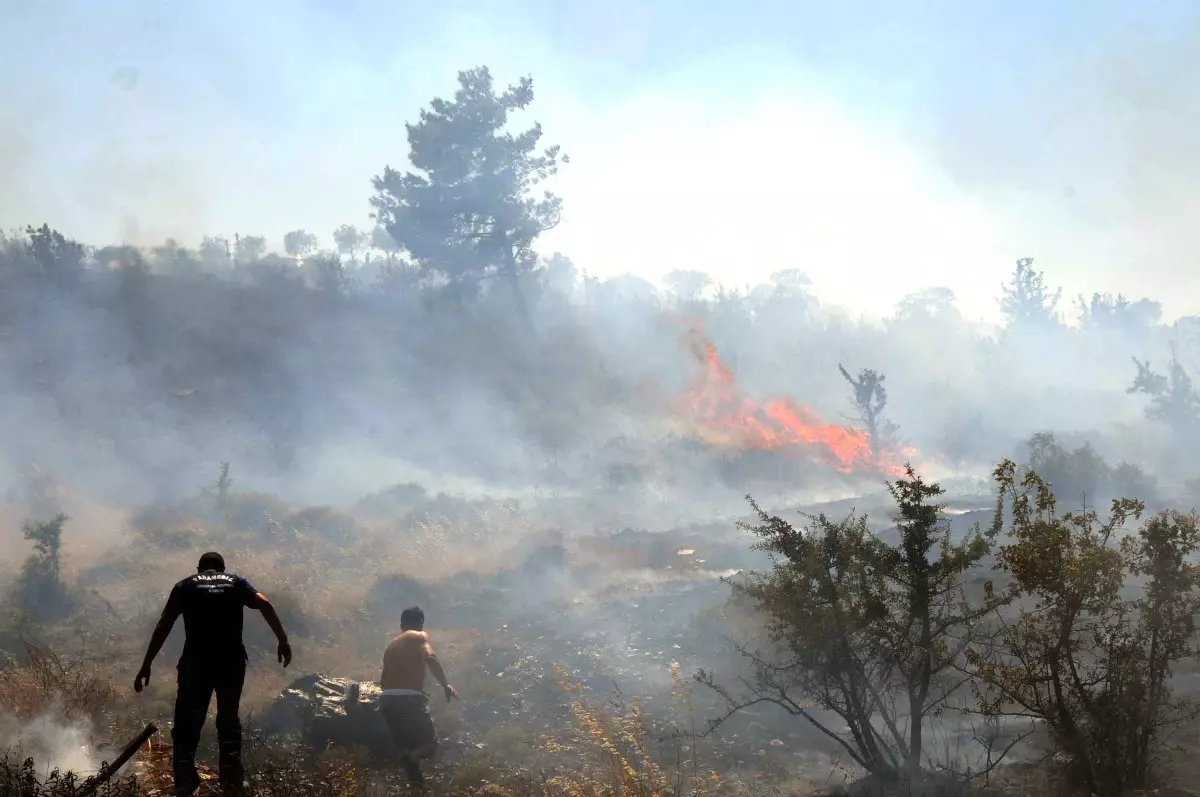 Gümüşlük'te Çöplük Yangını