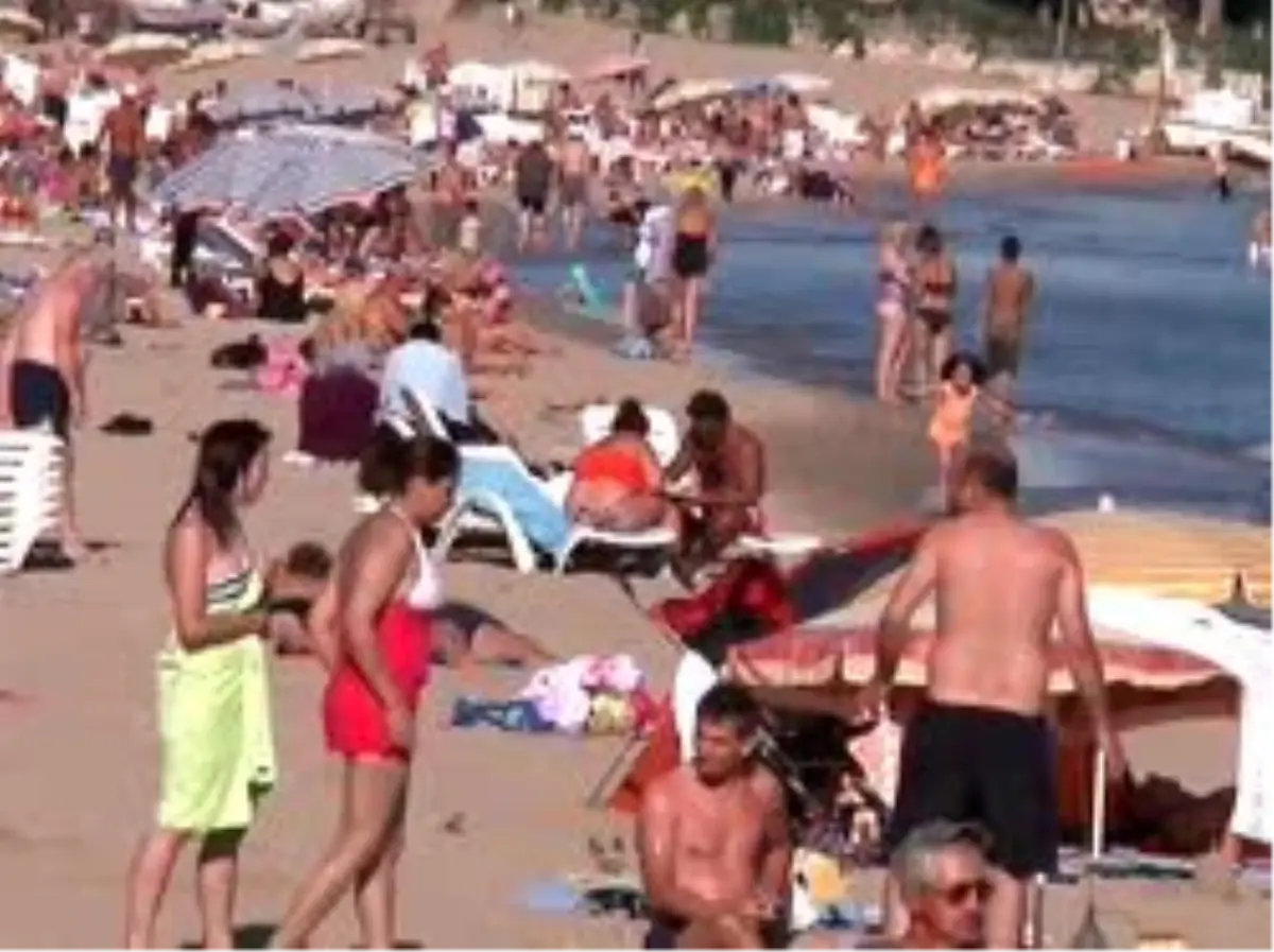 Didim\'de Ekim Güneşi Bereketi