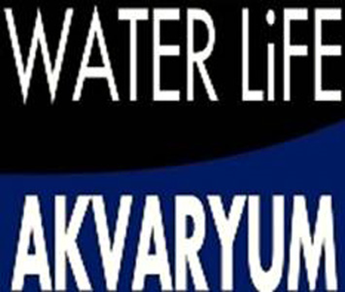 Gelen Deniz Canlılarının Listesi