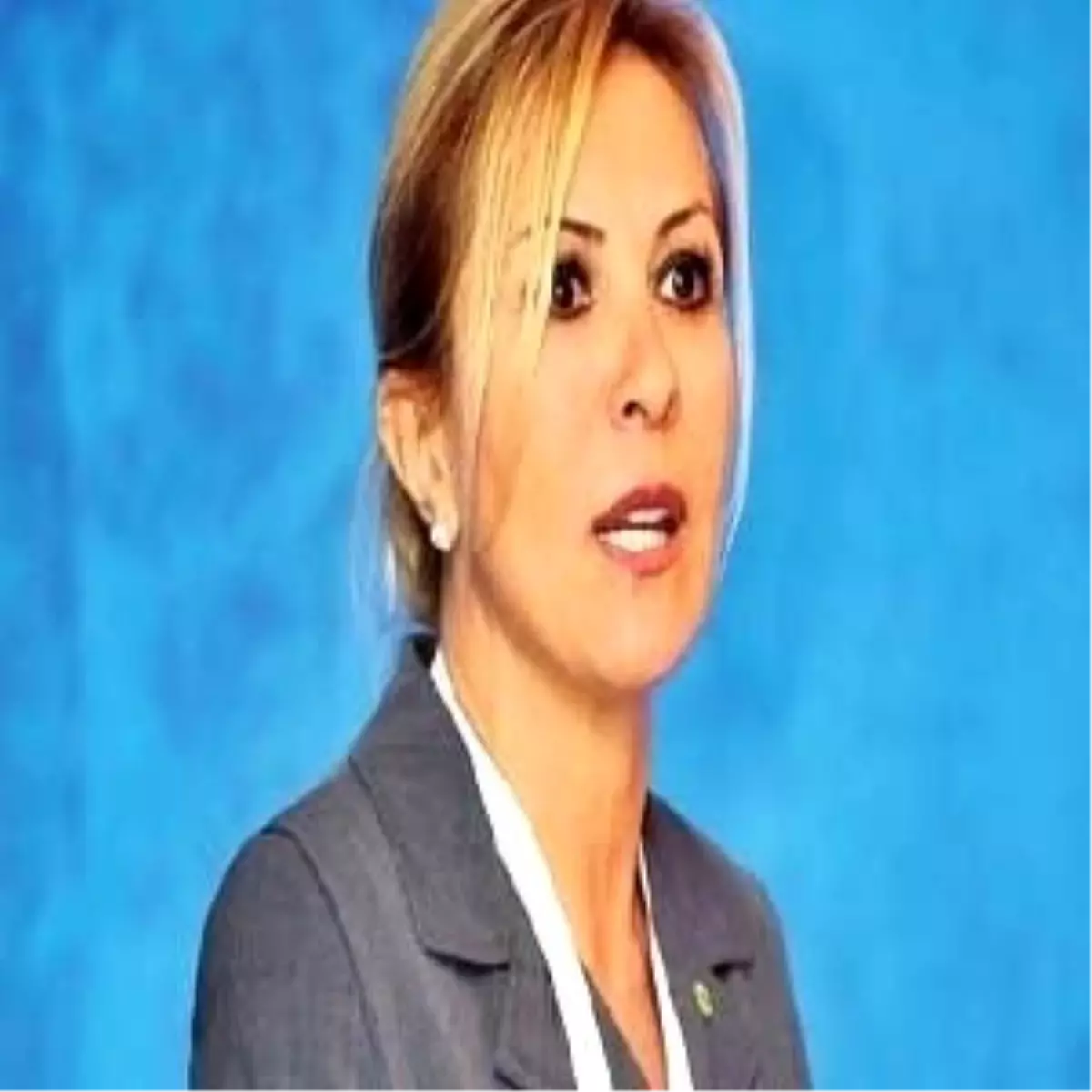 İş Dünyasının Gözü Yeni Anayasada