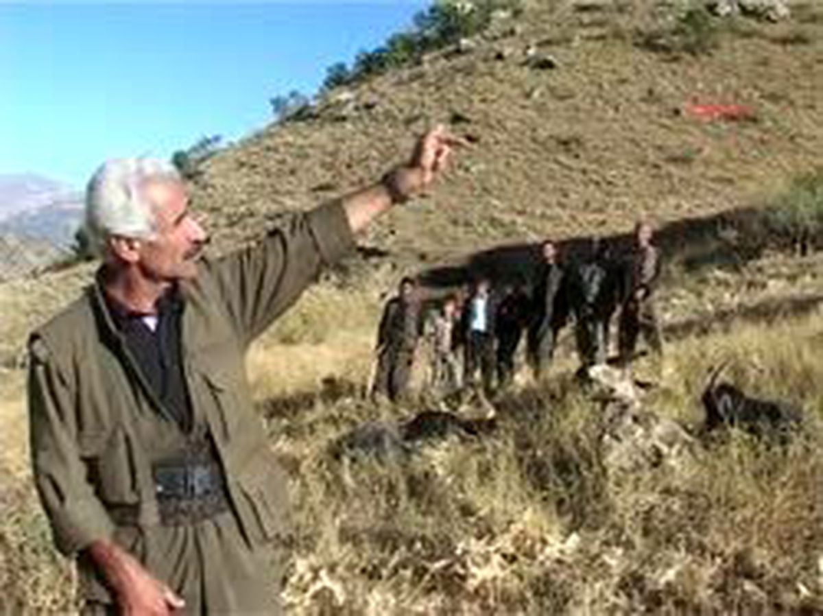 Beytüşşebap2kato Dağı'nda 'askeri Havan Mermisi Koyunları Telef Etti' İddiası