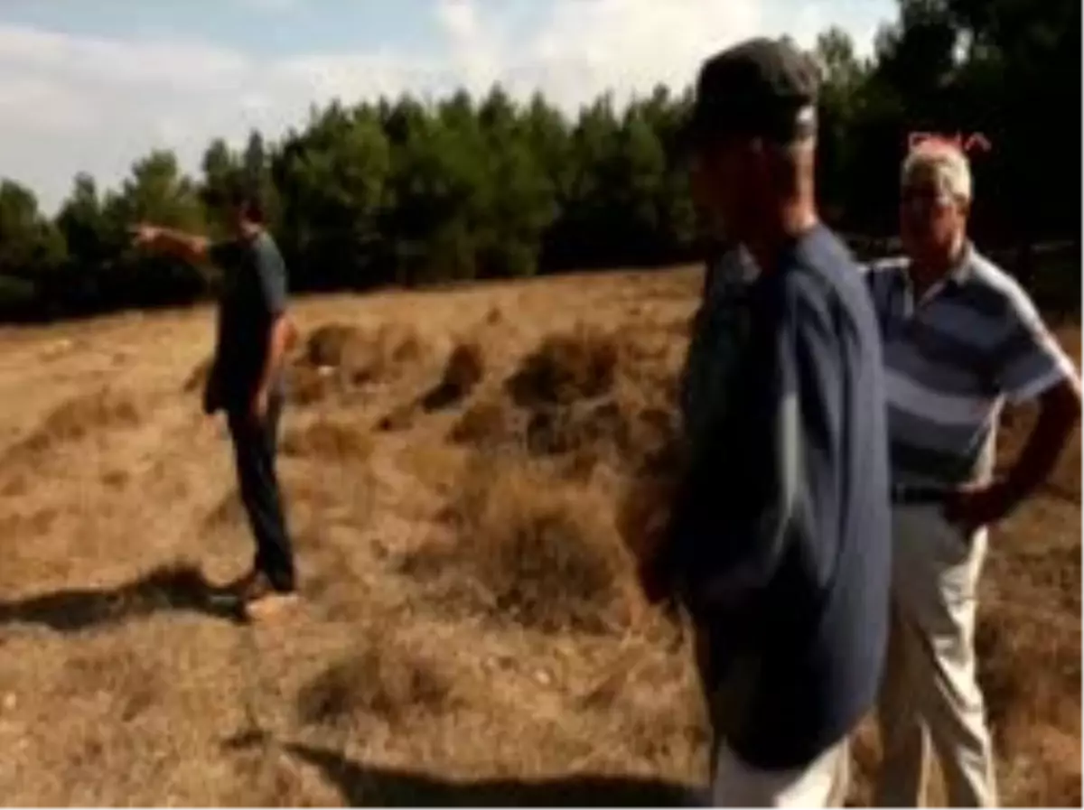 Foça\'daki Termik Santrallere Karşı 6 Bin Dava Yolda