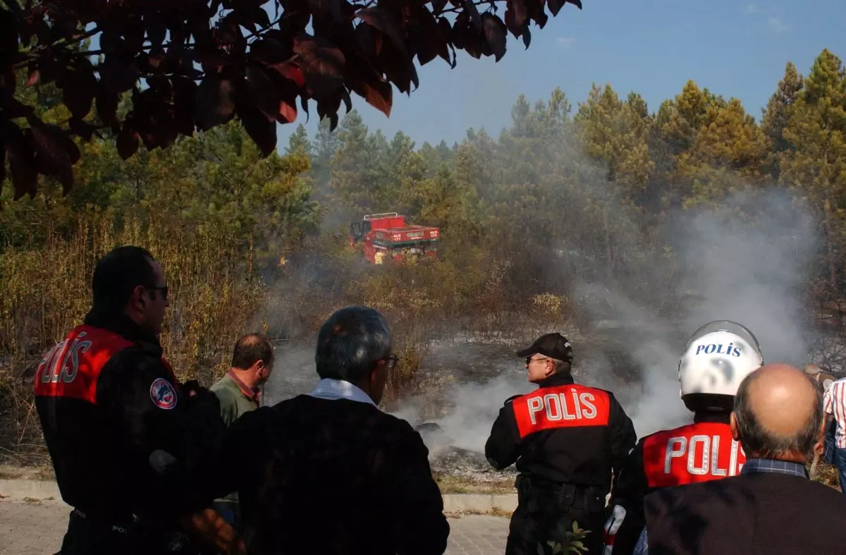 Düzce Kent Ormanı'nda Yangın
