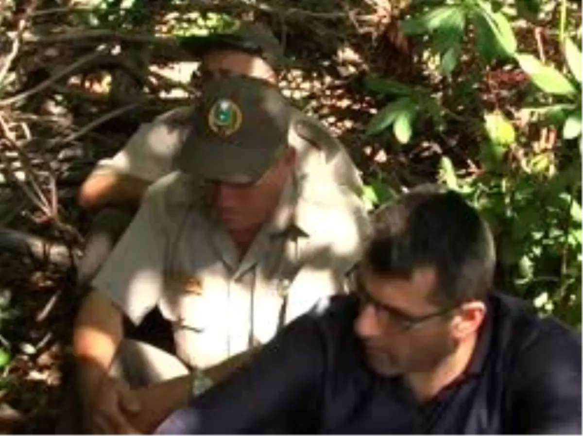 Bartınekkestane İçin Tartıştığı Ormancılara Kurşun Yağdırdı: 1 Ölü, 1 Yaralı