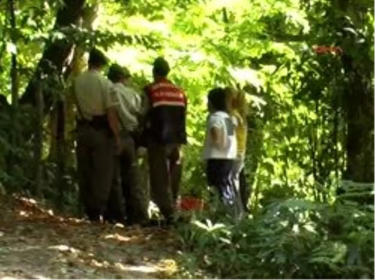 Kestane İçin Tartıştığı Ormancılara Kurşun Yağdırdı: 1 Ölü, 1 Yaralı