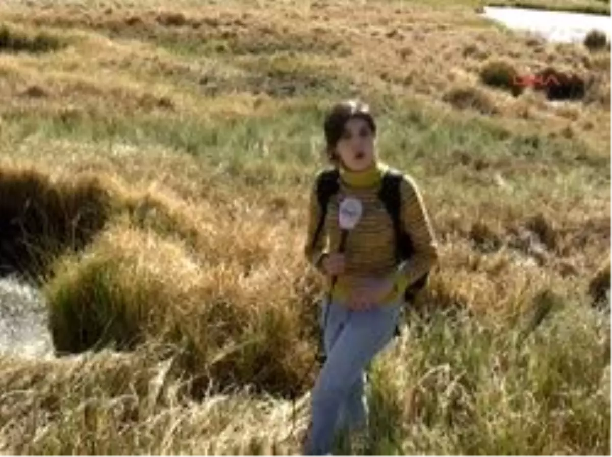 Köylü, Yüzen Adayı Yakacak Olarak Kullanıyor